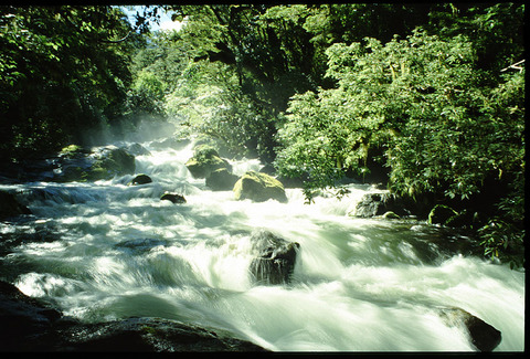 new zealand - south island.jpg
